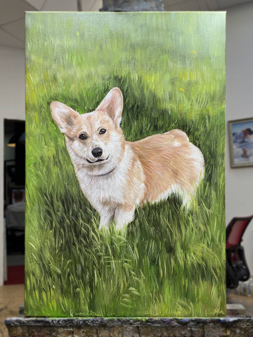 Любимцы и животные